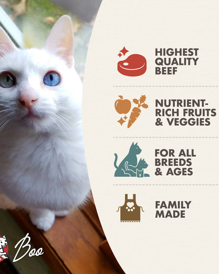 Fromm Four-Star  Beef Liva’ttini Veg® Food for Cats - 2 Sizes