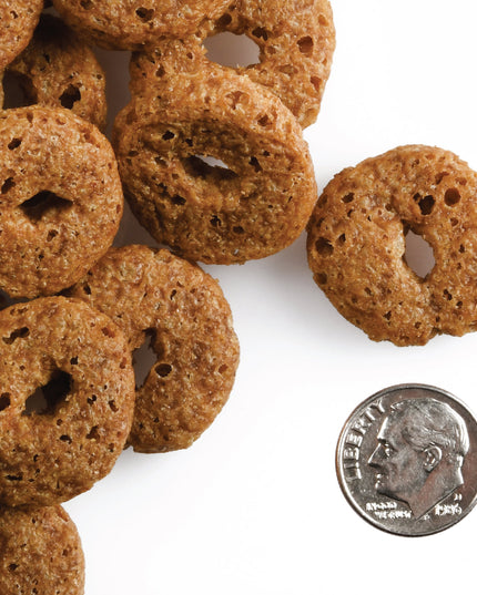Fromm Crunchy Pumpkin Kran Pow Flavour Dog Treats - 170g/6oz