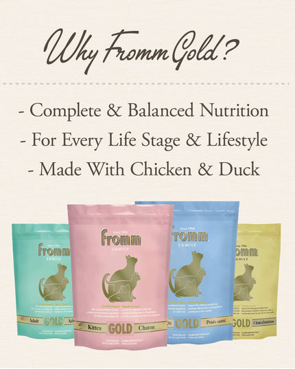Fromm Gold Kitten Dry Food