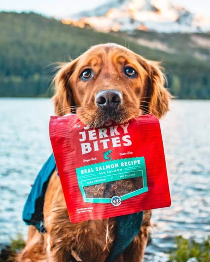 Stella & Chewy’s Just Jerky Bites Real Salmon Recipe