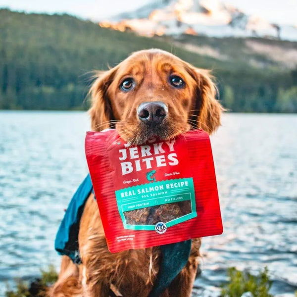 Stella & Chewy’s Just Jerky Bites Real Salmon Recipe