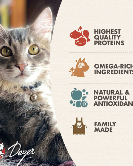 Fromm Gold Kitten Dry Food