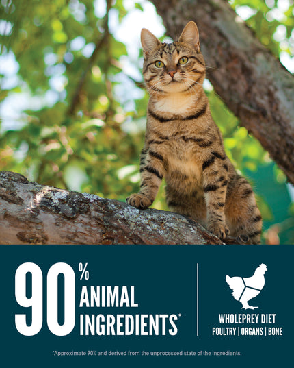 Orijen Guardian 8 Cat Dry Food - 2 Sizes