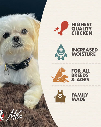 Fromm Chicken & Sweet Potato PÂTÉ Dog Canned Food - 345g/12.2oz