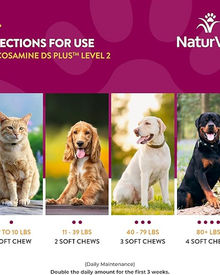 NaturVet Glucosamine DS Plus™ Soft Chews