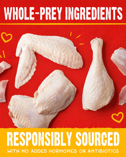 Stella & Chewy's Cage-Free Chicken Raw Coated Biscuits - 9oz/255g