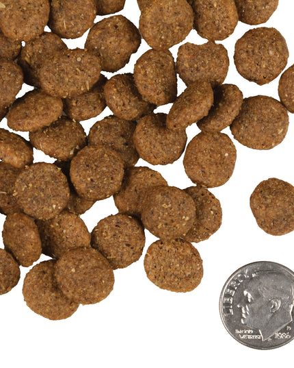 Fromm Gold Reduced Activity & Senior For Dogs - 2 Sizes