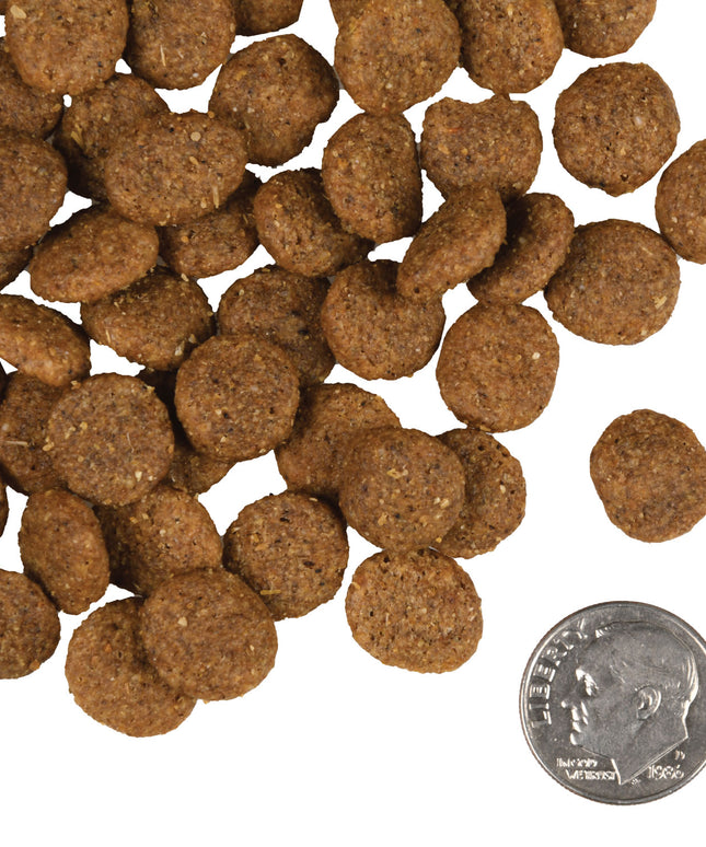 Fromm Gold Reduced Activity & Senior For Dogs - 2 Sizes