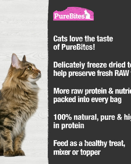 PureBites Freeze Dried Cat Treats-Salmon - 3 Sizes