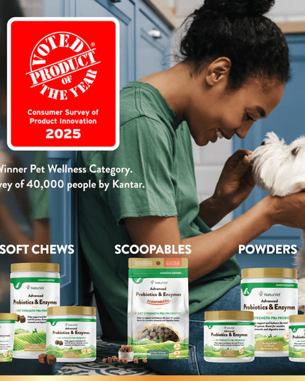 NaturVet Advanced Probiotics & Enzymes Powder - 3 Sizes