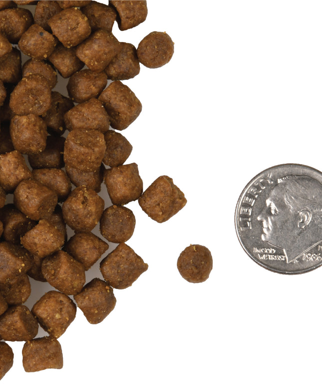 Fromm Four-Star Surf & Turf Food for Cats - 2 Sizes