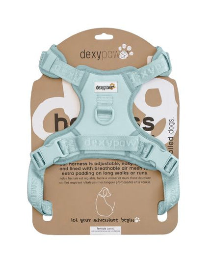 Dexypaws No-Pull Dog Harness, Sky Blue Medium Dog