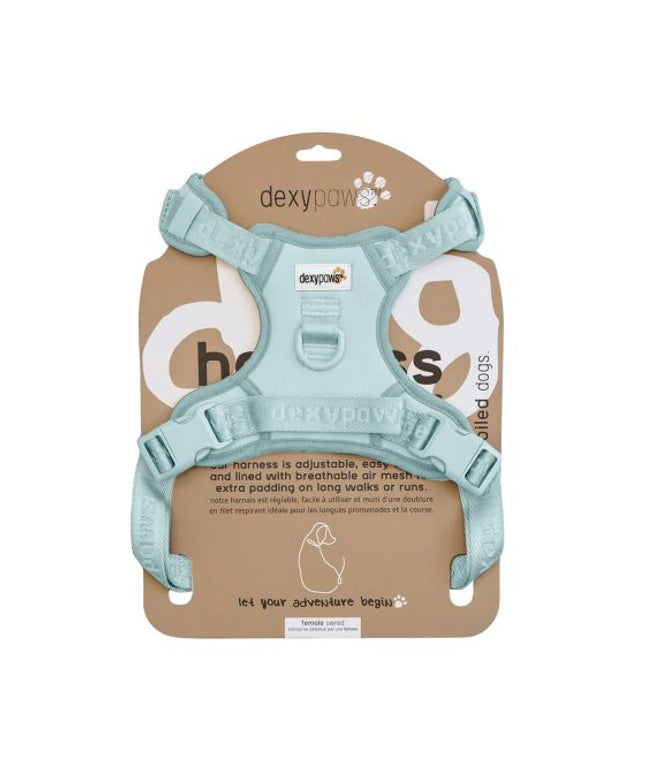 Dexypaws No-Pull Dog Harness, Sky Blue Medium Dog