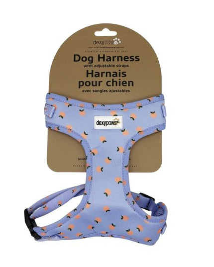 Dexypaws Neoprene Harness For Dog, Sky Blue With Tangerine Print