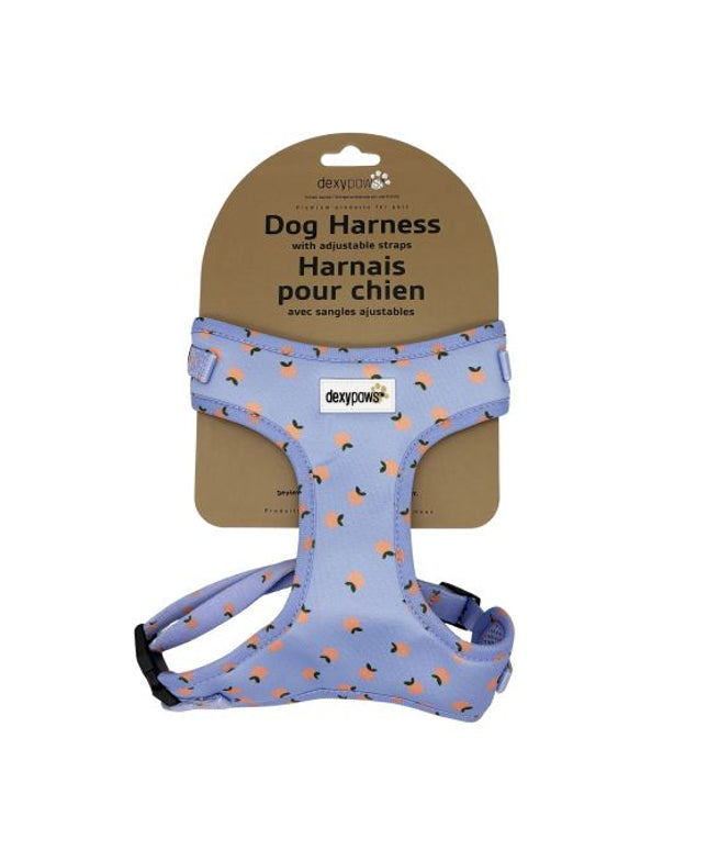 Dexypaws Neoprene Harness For Dog, Sky Blue With Tangerine Print