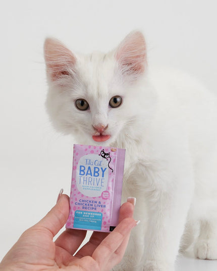 Tiki Cat® Baby Thrive Chicken & Chicken Liver Recipe Supplement 20ct