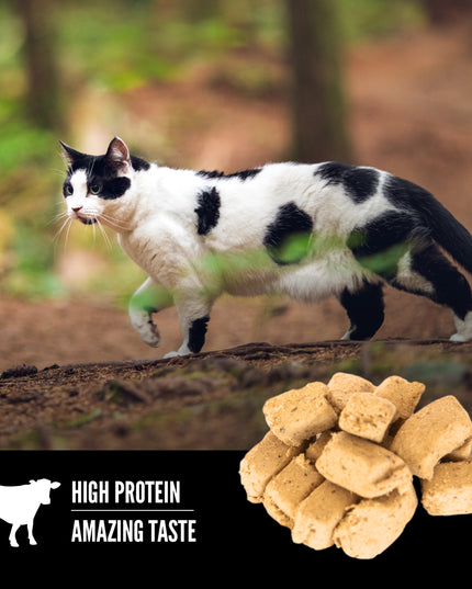 Orijen Regional Red Freeze-dried Cat Treats - 35g