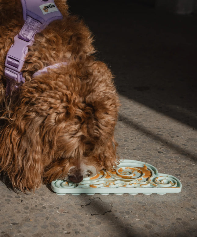 dexypaws® Sky Blue Cloud Enrichment Lick Mat