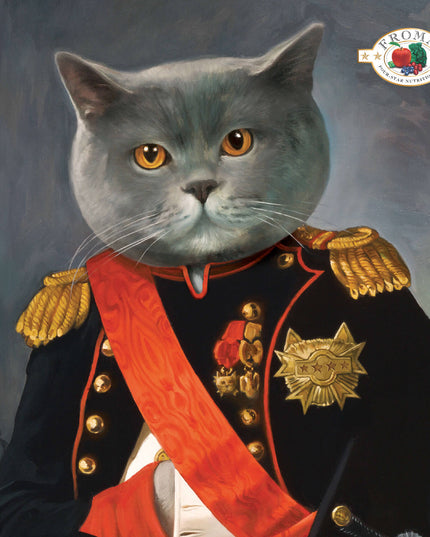 Fromm Four-Star Chicken Au Frommage® Recipe Food for Cats