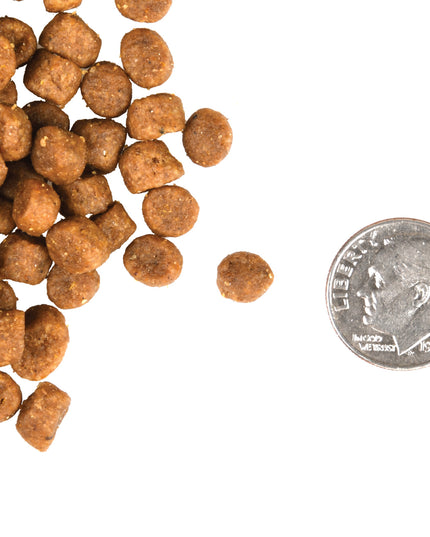 Fromm Gold Adult Cat Dry Food - 2 Sizes