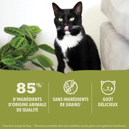 ACANA Premium Pâté - Chicken Recipe Wet Cat Food - 2 Sizes