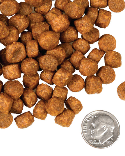 Fromm Four-Star Game Bird Recipe Food for Dogs