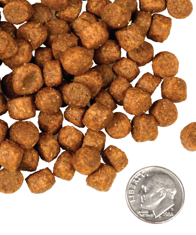 Fromm Four-Star Game Bird Recipe Food for Dogs