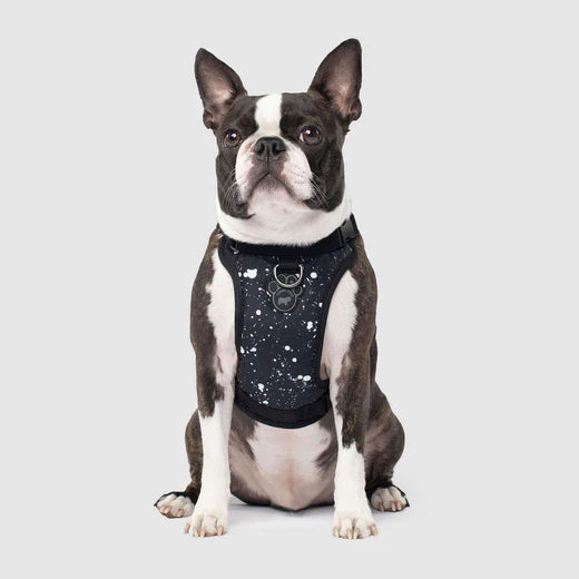 Canada pooch The Everything Harness Water-Resistant Series - Splatter