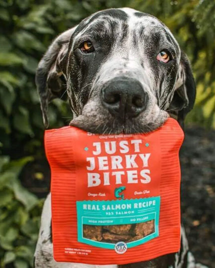 Stella & Chewy’s Just Jerky Bites Real Salmon Recipe