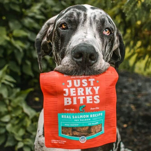 Stella & Chewy’s Just Jerky Bites Real Salmon Recipe