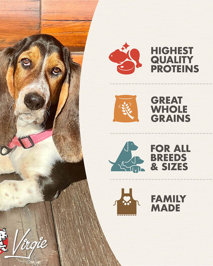 Fromm Gold Adult Food for Dogs - 2 Sizes