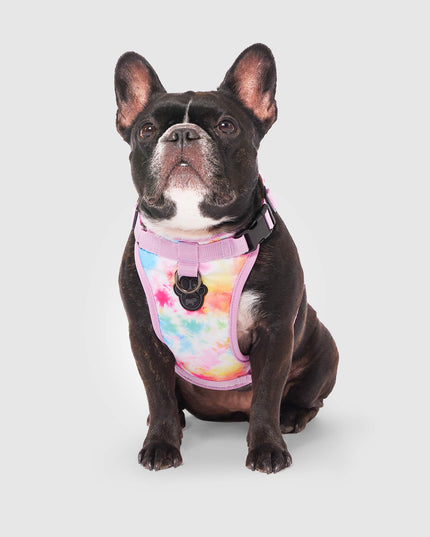 Canada pooch The Everything Harness Water-Resistant Series - Tie Dye