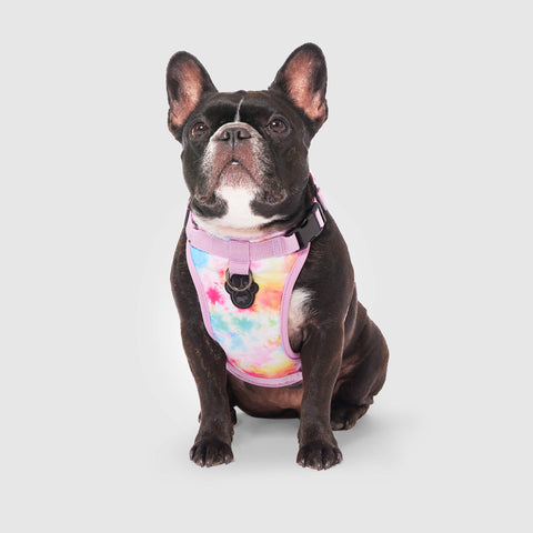 Canada pooch The Everything Harness Water-Resistant Series - Tie Dye