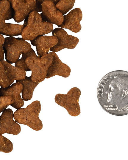 Fromm Four-Star Game Bird Recipe Food for Cats