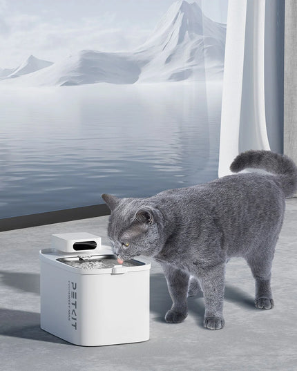 PETKIT EverSweet Max (CORDLESS)