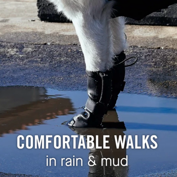 Canada Pooch Waterproof Rain Boots - Pink