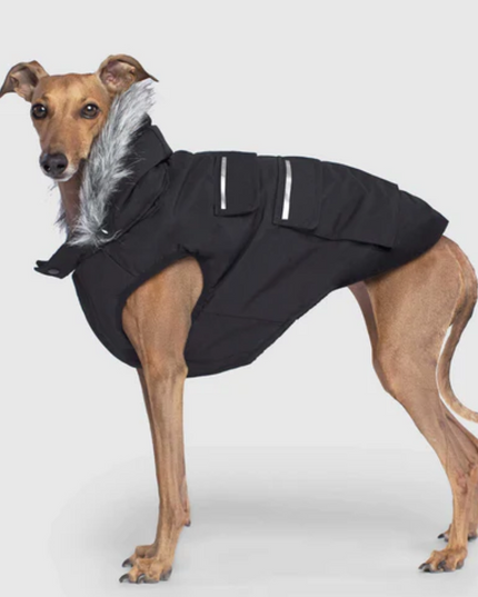 Canada Pooch Everest Explorer Jacket Black