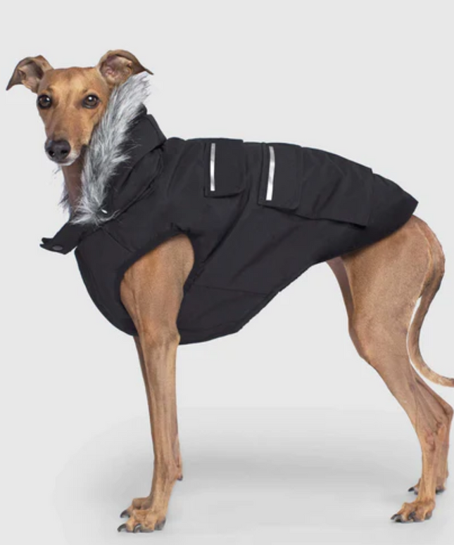 Canada Pooch Everest Explorer Jacket Black