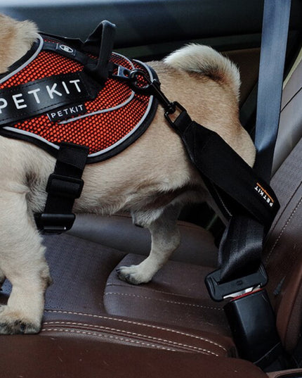 PETKIT Pet Car Seat Belt