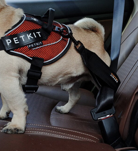 Petkit Pet Car Seat Belt