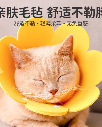 Felt Flower Cat E-Collar
