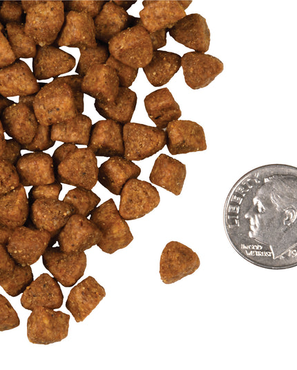 Fromm Four-Star Hasen Duckenpfeffer® Food for Cats - 2 Sizes