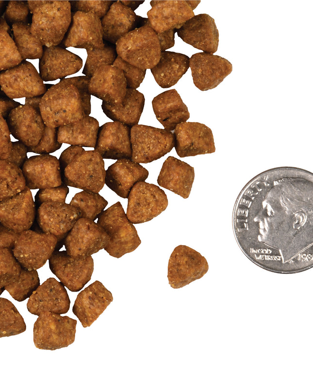 Fromm Four-Star Hasen Duckenpfeffer® Food for Cats - 2 Sizes