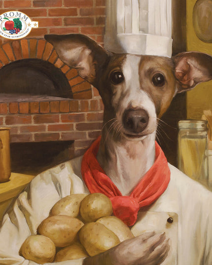 Fromm Four-Star Beef Frittata Veg® Recipe Food for Dogs - 3 Sizes