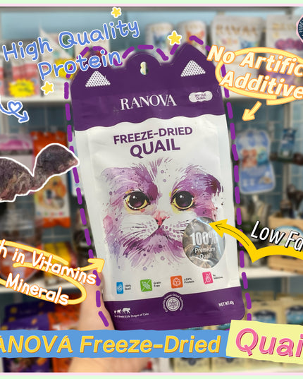 RANOVA Freeze Dried Whole Quail Cat Treats - 40g