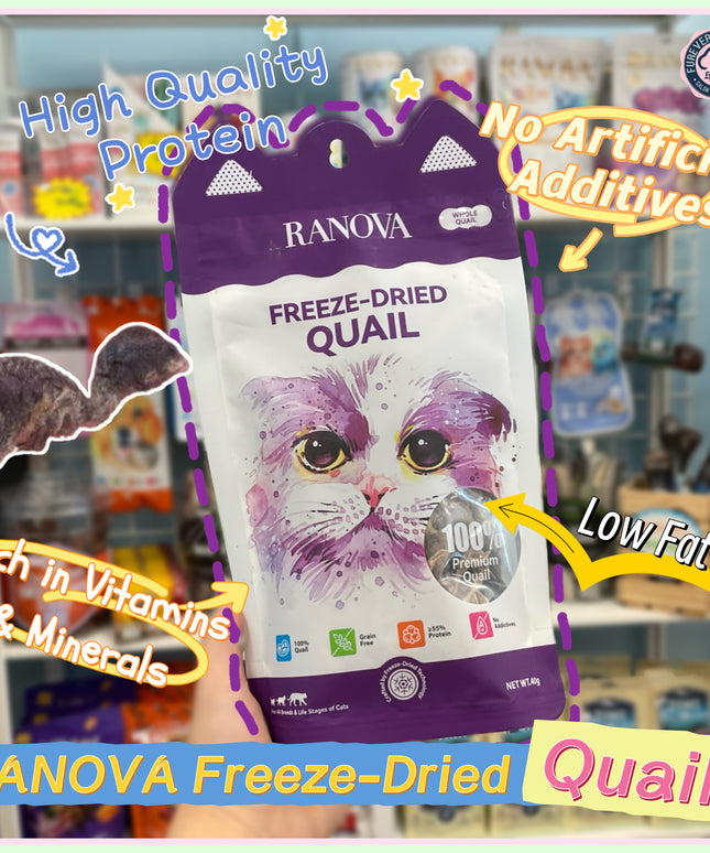 RANOVA Freeze Dried Whole Quail Cat Treats - 40g