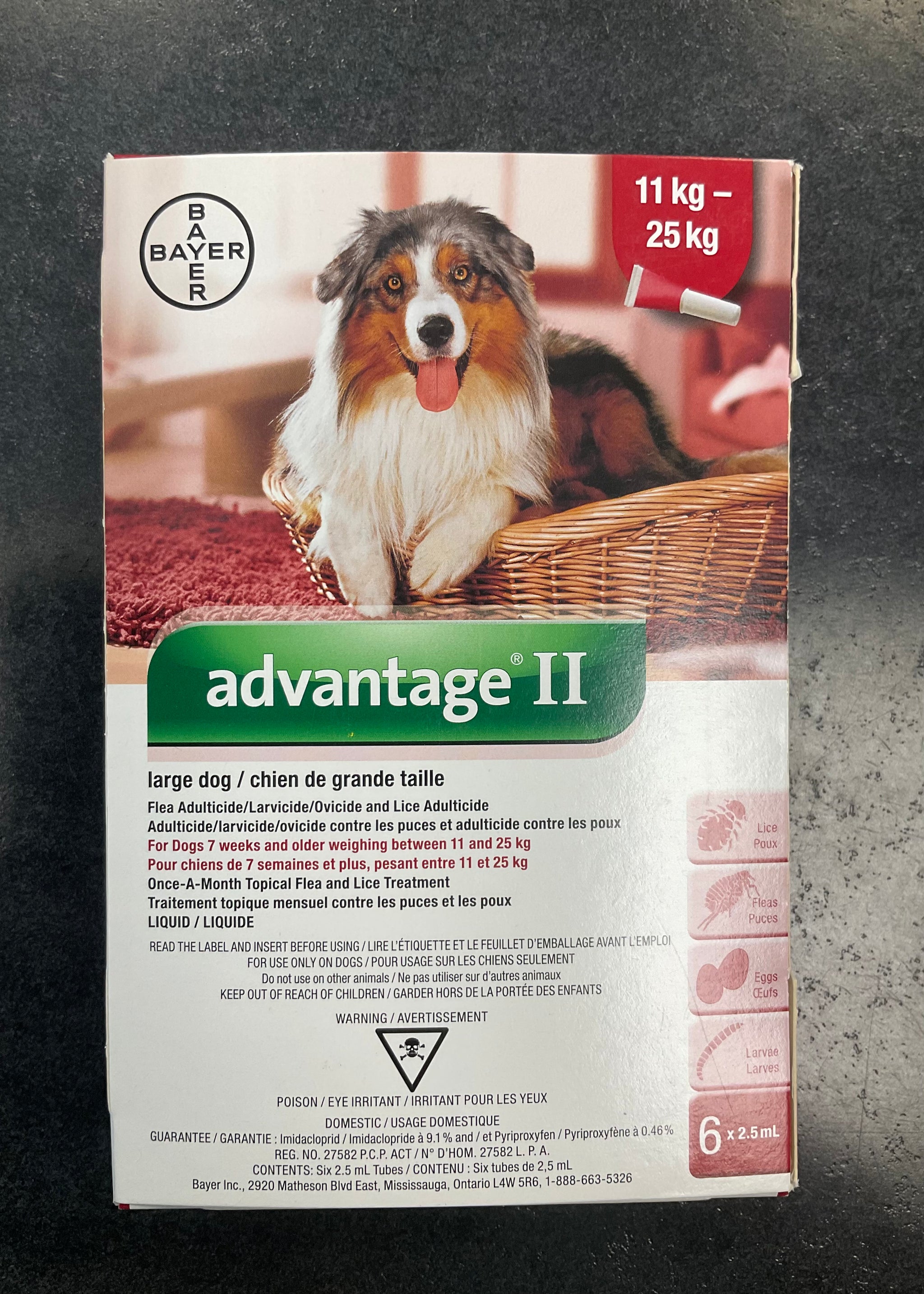 Bayer advantage 2 for dogs best sale