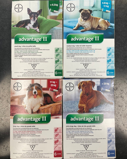 Bayer Advantage® II for dogs （6 pack）