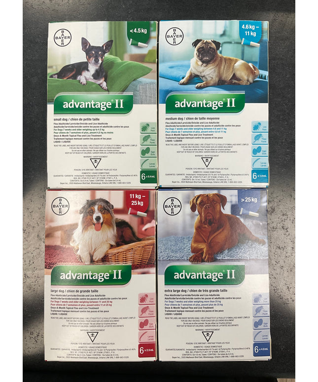 Bayer Advantage® II for dogs （6 pack）