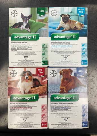 Bayer Advantage® II for dogs （6 pack）